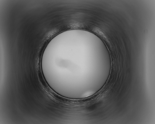 X0000086900490200704160950