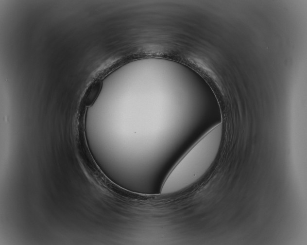 X0000086900492200704160950