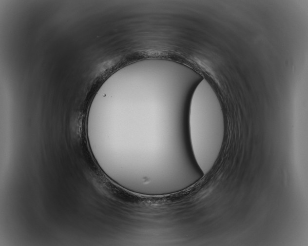 X0000086900495200704160950