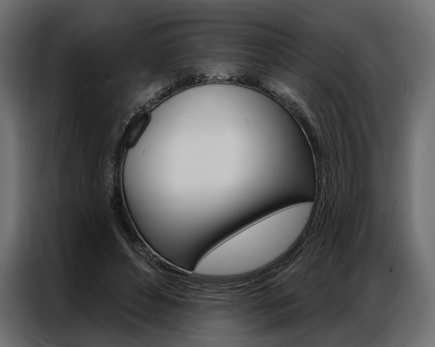 X0000086900496200704160950
