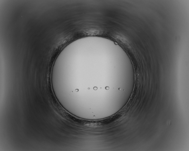 X0000086900499200704160950