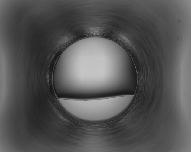 X0000086900500200704160950