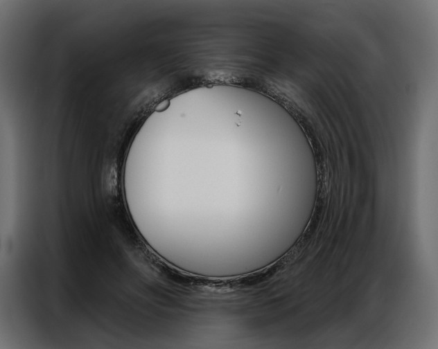X0000086900502200704160950