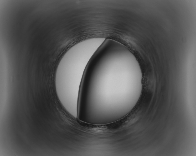 X0000086900505200704160950
