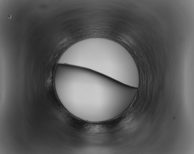 X0000086900507200704160950