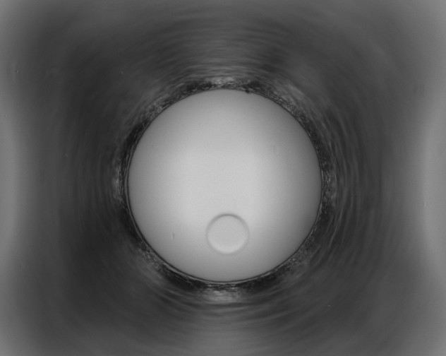 X0000086900510200704160950
