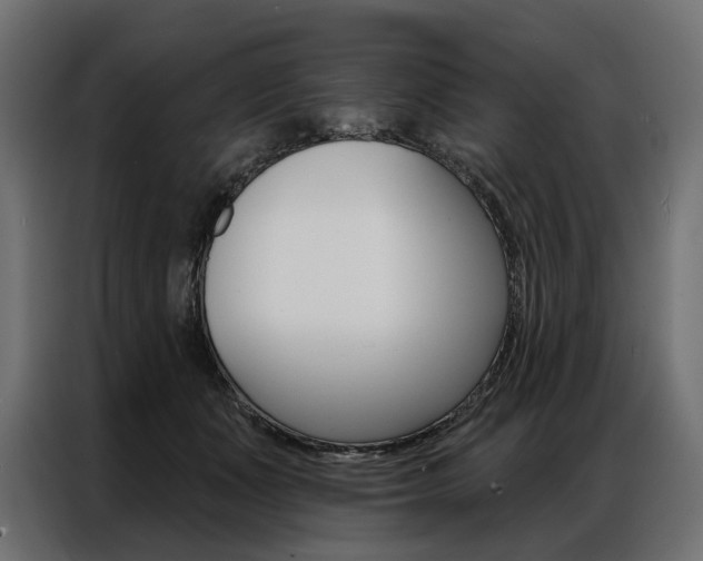 X0000086900511200704160950