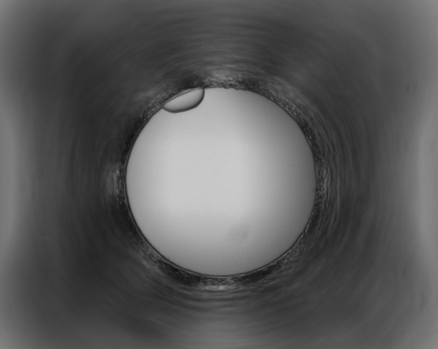 X0000086900514200704160950