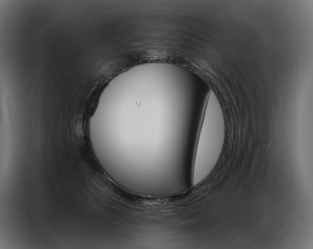 X0000086900516200704160950