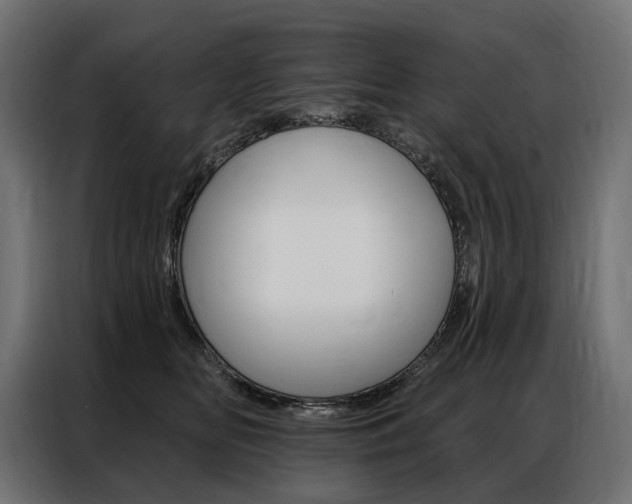 X0000086900518200704160950