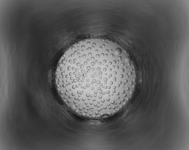 X0000086900519200704160950