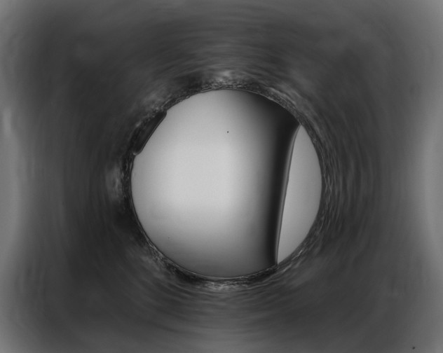 X0000086900520200704160950