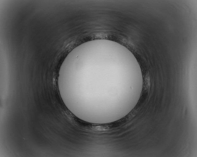 X0000086900522200704160950