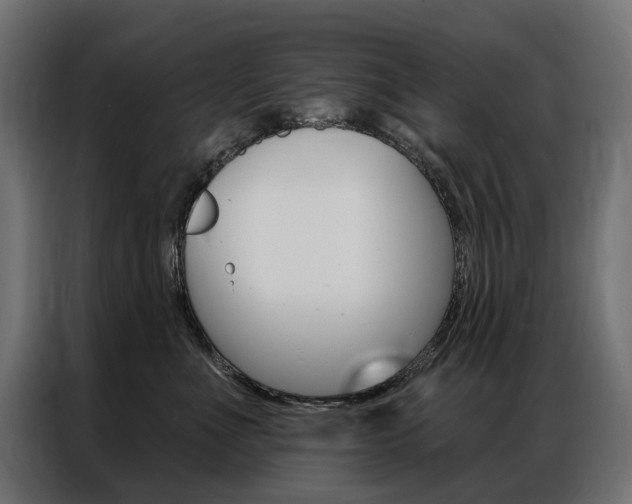 X0000086900523200704160950