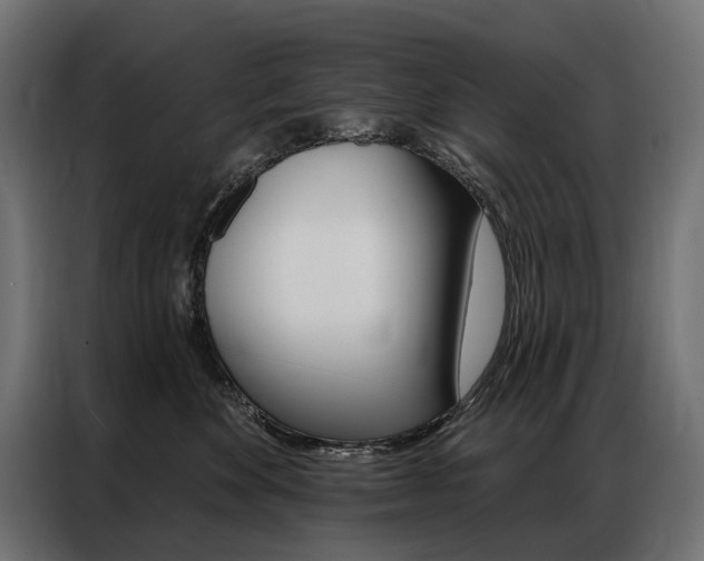 X0000086900524200704160950