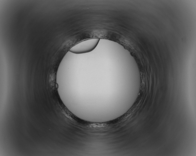 X0000086900526200704160949