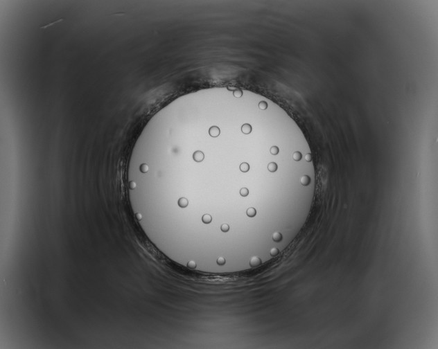 X0000086900527200704160949
