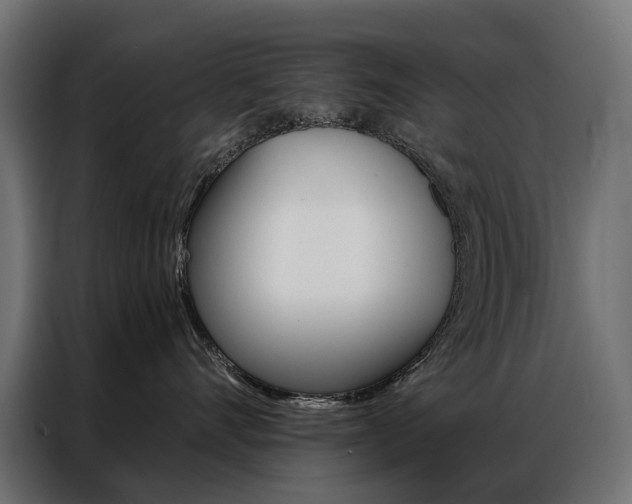 X0000086900528200704160949