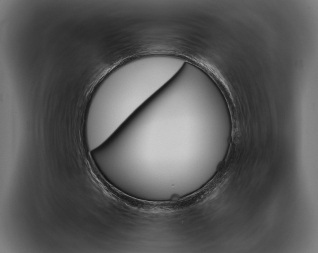 X0000086900529200704160949