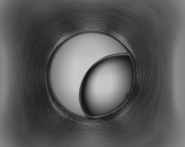 X0000086900530200704160949