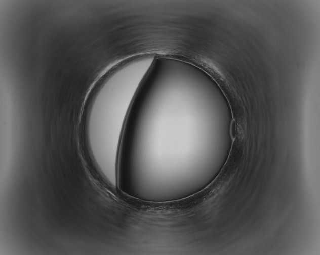 X0000086900532200704160949