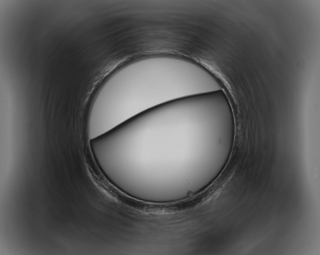 X0000086900533200704160949