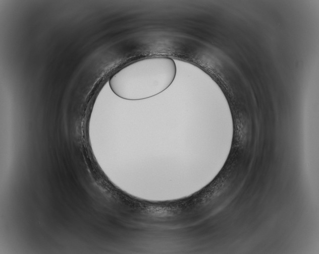 X0000086900534200704160949