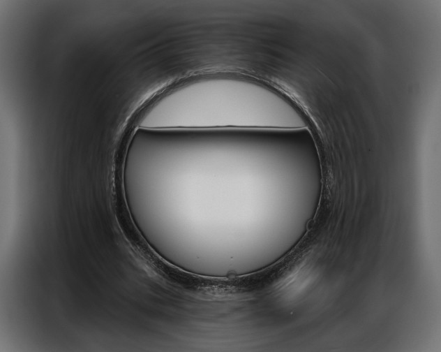 X0000086900535200704160949