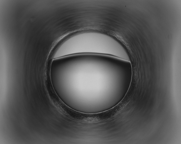 X0000086900536200704160949