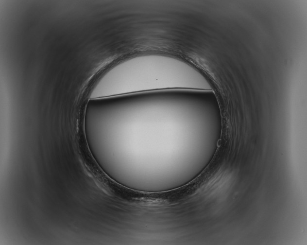 X0000086900539200704160949