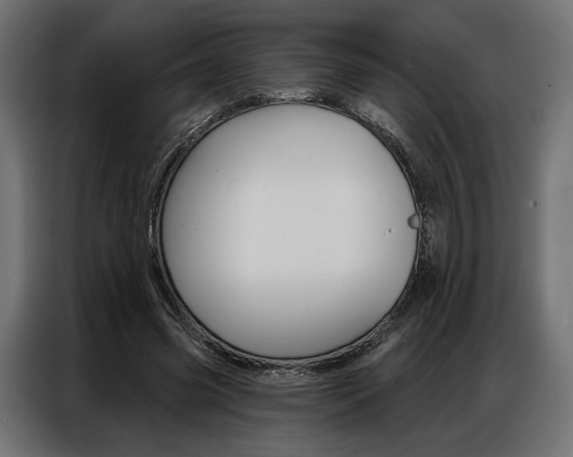 X0000086900541200704160949
