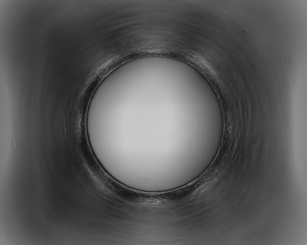X0000086900542200704160949