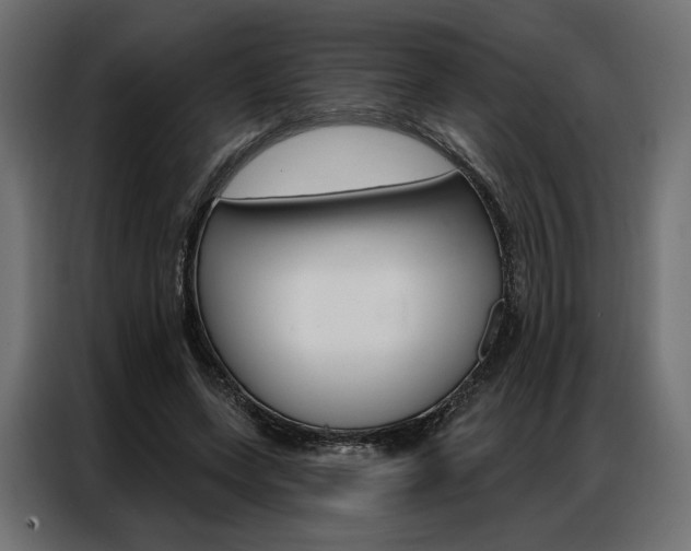 X0000086900543200704160949