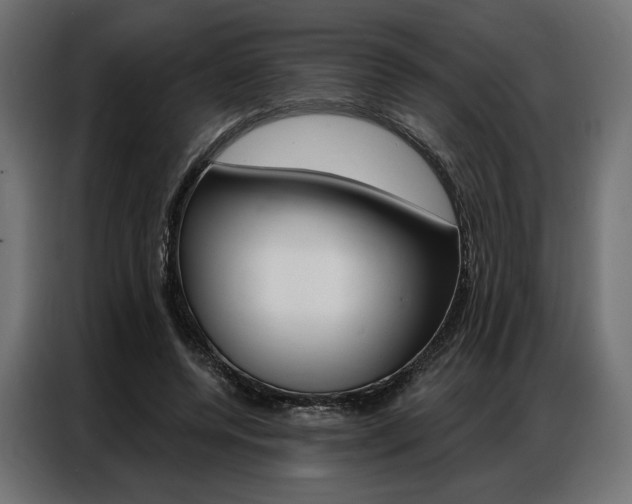 X0000086900544200704160949