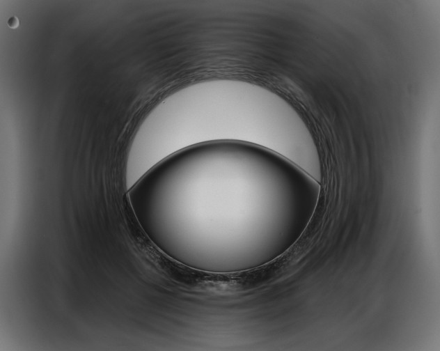 X0000086900552200704160949
