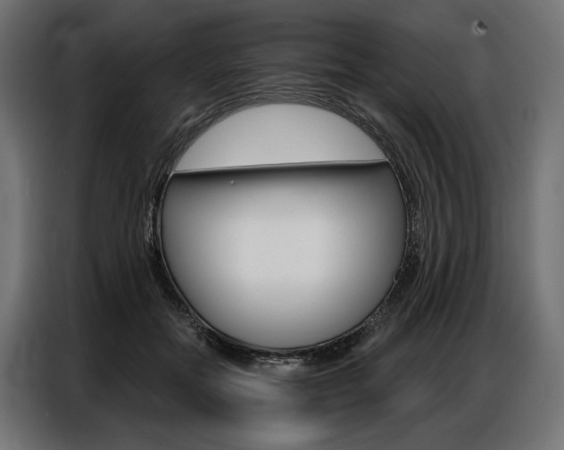 X0000086900554200704160949