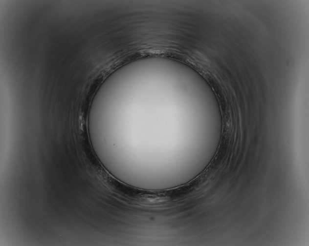 X0000086900555200704160949