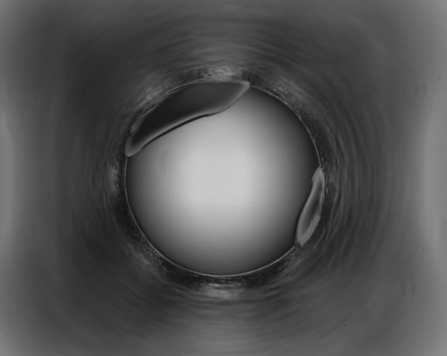 X0000086900556200704160949