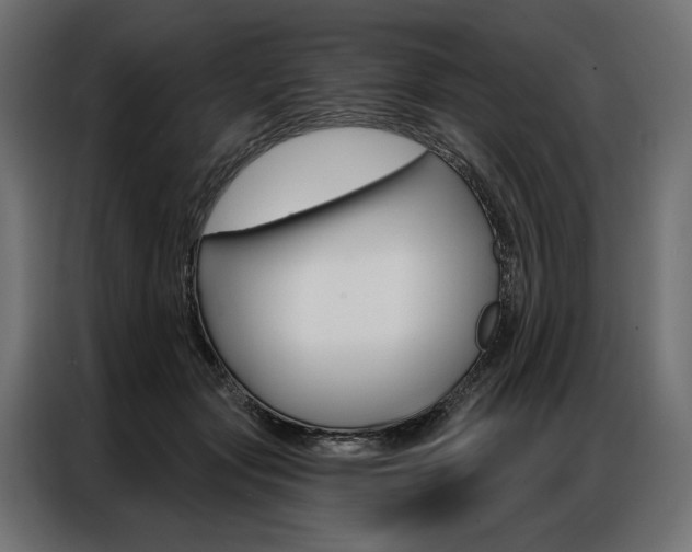 X0000086900557200704160949