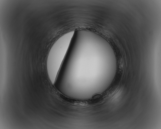 X0000086900559200704160949