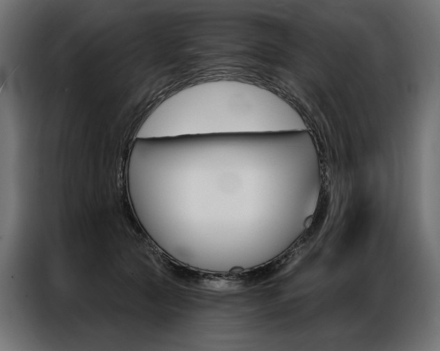 X0000086900561200704160949