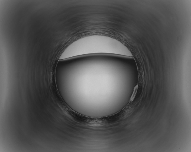 X0000086900562200704160949