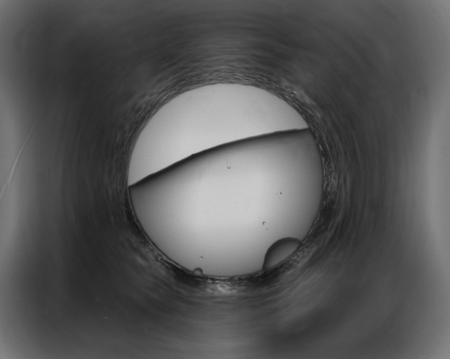X0000086900565200704160949