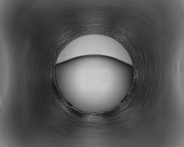 X0000086900568200704160949