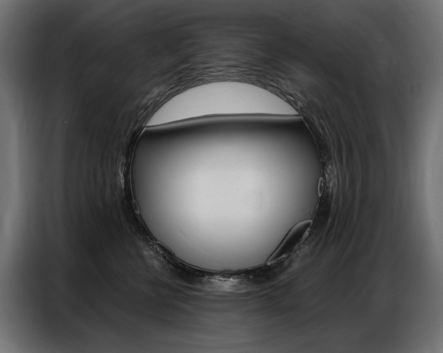X0000086900570200704160949