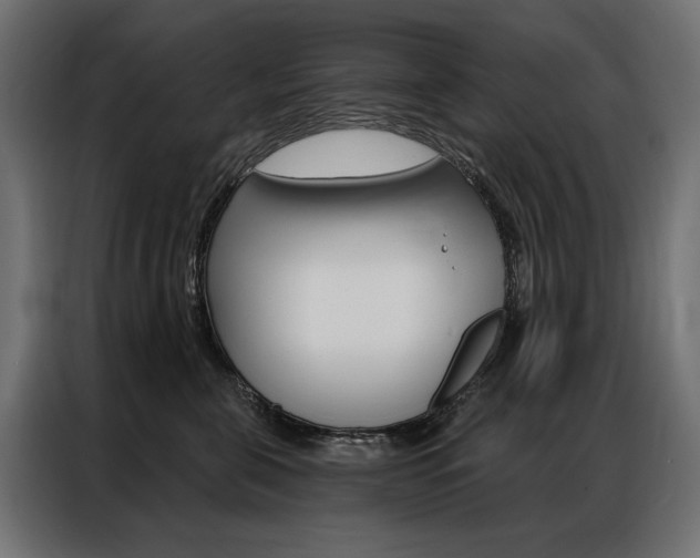 X0000086900571200704160949
