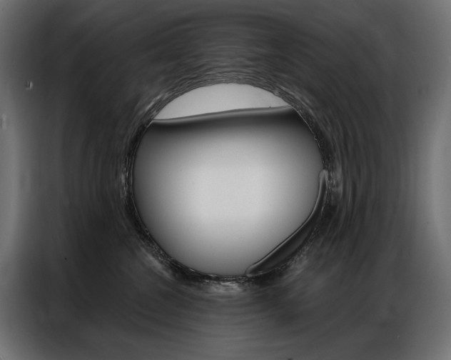 X0000086900572200704160949
