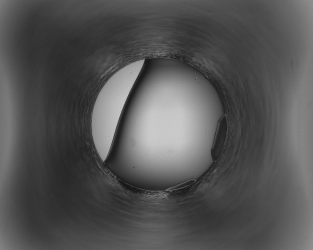 X0000086900576200704160949