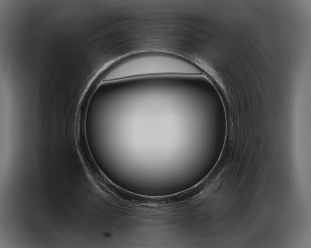 X0000086900580200704160949