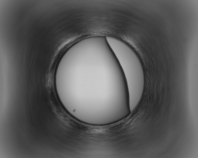 X0000086900583200704160949